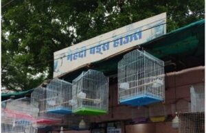 पालतु पशु दुकानों में प्रशासन की दबिश, नियमों के उल्लंघन पर कार्रवाई की चेतावनी