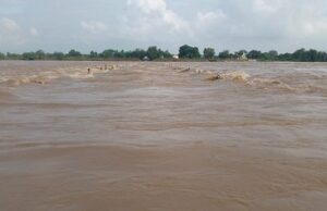 दुर्ग में शिवनाथ नदी उफान पर, बाढ़ में फंसे 32 लोगों सुरक्षित बाहर निकाला