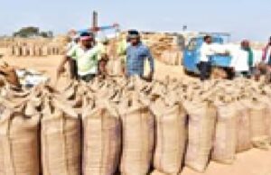 केंद्र सरकार का बड़ा निर्णय : धान खरीदी का अनुमान 70 से बढ़ाकर 78 लाख मीट्रिक टन