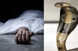 एक ही परिवार के तीन लोगों को सांप ने डसा, पिता-पुत्र की मौत