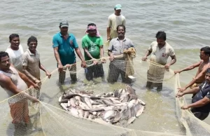 आत्मनिर्भरता और आर्थिक स्थिरता का मजबूत आधार बना-मत्स्य पालन