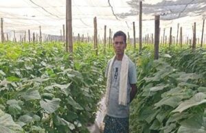 11 नवंबर को अहमदाबाद में होगा ‘इन्वेस्टर कनेक्ट’ कार्यक्रम