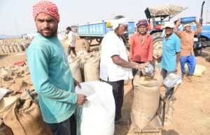 राज्य के सभी जिलों में समर्थन मूल्य पर धान खरीदी का सिलसिला जारी