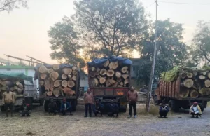प्रतिबंधित काष्ठों का अवैध परिवहन पकड़ा गया, वन विभाग ने की जब्ती
