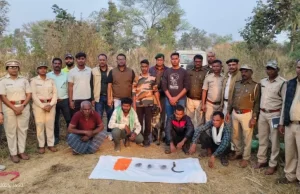 कुएं में गिरे तेंदुए की मौत, अवैध शिकार की आशंका पर एक आरोपी गिरफ्तार