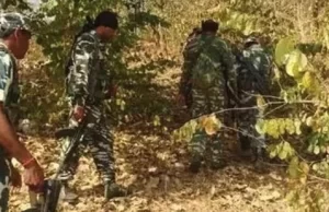 नक्सल-विरोधी अभियान में सुरक्षाबलों को बड़ी सफलता:सुरक्षाबलों ने 12 माओवादियों को किया न्यूट्रलाइज