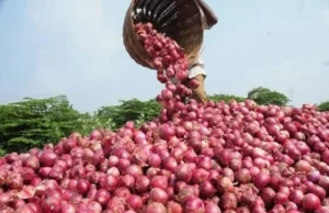 अब भारत का प्याज विदेशों में भी बढ़ाएगा स्वाद, इन देशों तक होगी सप्लाई