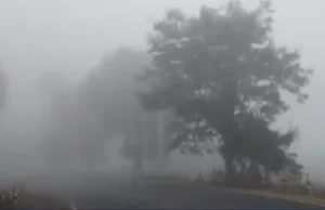 ठंड और कोहरे का दौर, 1 से 3 डिग्री तक तापमान में आएगी गिरावट