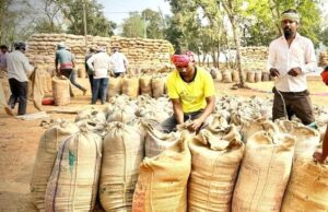 किसानों को 409 करोड़ का हुआ भुगतान