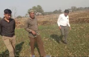 धान से हटकर समृद्धि की राह: जेवरा के किसान दिलीप सिन्हा ने दलहन-तिलहन से कमाए 25 लाख रुपये
