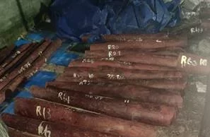 लाल चंदन की संगठित तस्करी, चेन्नई में 6.26 करोड़ के 15 एमटी लाल चंदन जब्त, चार गिरफ्तार