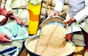 सख्त कार्यवाही : राशन वितरण में गड़बड़ी बर्दाश्त नहीं, दो दुकानों का संचालन समाप्त, एक पर अर्थदंड