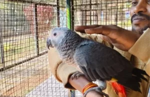 जगदलपुर के लामनी एवीयरी में नए मेहमानों का हुआ स्वागत