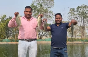बायोफ्लॉक तकनीक से समृद्ध हो रहे किसान कैलाश पैकरा