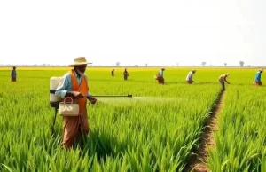 भारत गल्फूड 2026 में 161 प्रदर्शकों के माध्यम से अपने विविध कृषि-खाद्य इकोसिस्टम का करेगा प्रदर्शन