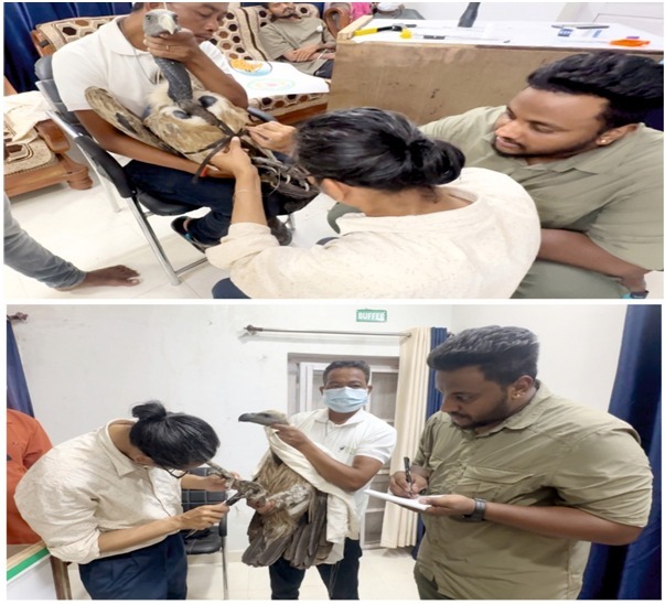 WhatsApp Image 2026-01-01 at 11.00.46 PM