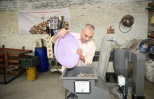 विशेष लेख सशक्त मानसिकता से आत्मनिर्भरता की ओर- पोषण निर्माण में अहम भूमिका निभा रही हैं सूरजपुर की महिलाएं