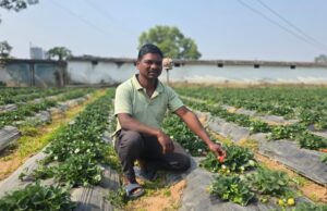 उद्यानिकी खेती से बदली किसान की आर्थिक तस्वीर