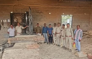 सक्ती वन परिक्षेत्र में अवैध लकड़ी भंडारण पर बड़ी कार्रवाई, अर्जुन प्रजाति की लकड़ी जब्त