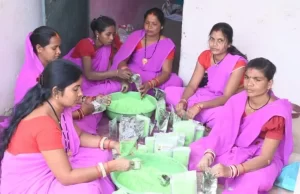 इस बार प्राकृतिक रंगों से रंगीन होगी होली, स्व सहायता समूह की महिलाएं कर रही है प्राकृतिक गुलाल का निर्माण