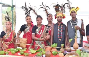 आदिवासी संस्कृति का महाकुंभ बस्तर पण्डुम, 54 हजार से अधिक प्रतिभागियों के पंजीयन ने रचा नया इतिहास