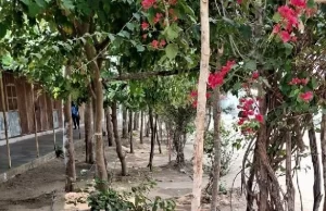 नवाचार की मिसाल : पोटाकेबिन में ‘वेस्ट वॉटर मैनेजमेंट’ के जरिए लहलहा उठी बगिया