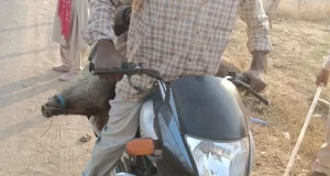 अवैध शिकार के खिलाफ वन विभाग की बड़ी कार्रवाई, सात आरोपी गिरफ्तार