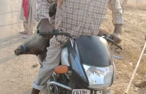 अवैध शिकार के खिलाफ वन विभाग की बड़ी कार्रवाई, सात आरोपी गिरफ्तार