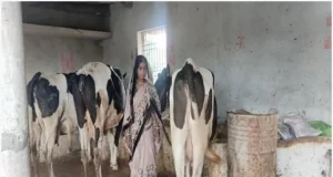 समूह से बदली जिंदगी, डेयरी और खेती से ‘लखपति दीदी’ बनीं माधुरी