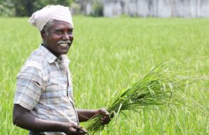 धान खरीदी में पारदर्शिता और किसानों को 72 घंटे में भुगतान : खाद्य मंत्री