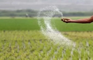 गैस आपूर्ति बढ़ने से यूरिया उत्पादन में 23% का बड़ा उछाल