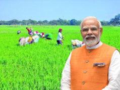 प्रदेश के 2.92 लाख वन पट्टाधारी और 37,400 विशेष पिछड़ी जनजाति किसानों को मिल रहा योजना का लाभ