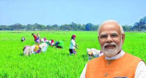 प्रदेश के 2.92 लाख वन पट्टाधारी और 37,400 विशेष पिछड़ी जनजाति किसानों को मिल रहा योजना का लाभ