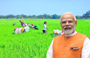 प्रदेश के 2.92 लाख वन पट्टाधारी और 37,400 विशेष पिछड़ी जनजाति किसानों को मिल रहा योजना का लाभ