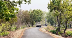 नक्सल गढ़ में विकास की नई जीत, पोलमपल्ली से अरलमपल्ली सड़क बनने से खुश है ग्रामीण