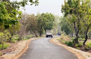 नक्सल गढ़ में विकास की नई जीत, पोलमपल्ली से अरलमपल्ली सड़क बनने से खुश है ग्रामीण