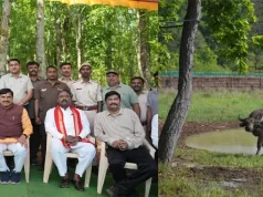 लगभग 100 वर्ष पहले प्रदेश की धरती से विलुप्त हो गई थी जंगली भैंसें प्रजाति