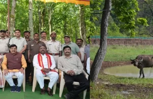 लगभग 100 वर्ष पहले प्रदेश की धरती से विलुप्त हो गई थी जंगली भैंसें प्रजाति