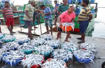 भारत के समुद्री खाद्य पदार्थों का निर्यात 72,000 करोड़ रुपये से अधिक, अमेरिका और चीन शीर्ष आयातक बने रहे