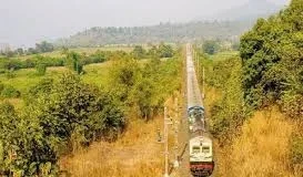 भारतीय रेलवे ने जोनों में लगाए 81 लाख 59 हजार पेड़, ट्रैक के किनारे वृक्षारोपण से मिट्टी का कटाव रुका