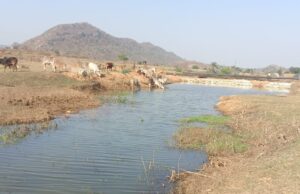 मनरेगा से पनारी नाले का जीर्णोद्धार: 1200 ग्रामीणों को पेयजल व सिंचाई का लाभ