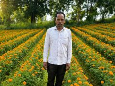 परंपरागत खेती छोड़ फूलों की खेती अपनाई, कम लागत में मिला ज्यादा मुनाफा