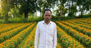 परंपरागत खेती छोड़ फूलों की खेती अपनाई, कम लागत में मिला ज्यादा मुनाफा