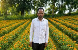 परंपरागत खेती छोड़ फूलों की खेती अपनाई, कम लागत में मिला ज्यादा मुनाफा