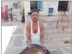 सफलता की कहानी मछली पालन से आत्मनिर्भर बने प्रकाश धीवर क्षेत्र के 20 लोगों को दे रहे रोजगार