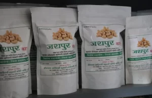 जशपुर का काजू बना किसानों की समृद्धि की नई पहचान