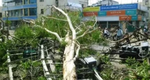 बिहार में तूफान का कहर, 13 लोगों की मौत