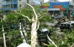 बिहार में तूफान का कहर, 13 लोगों की मौत