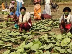 जगदलपुर वन वृत्त में जिला यूनियन अव्वल