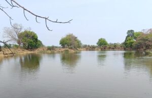 मुख्यमंत्री श्री साय की मंशा के अनुरूप सूखते तालाबों को*जीवनदान देने जल संसाधन विभाग का विशेष अभियान